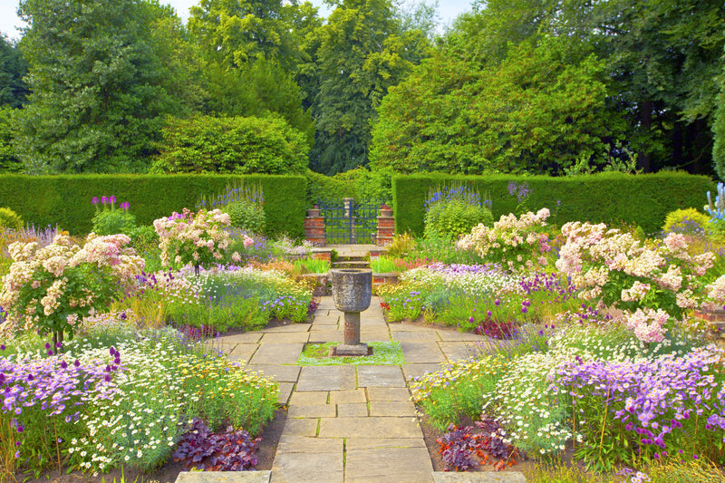 Garden with a stone path, flowers, and trees